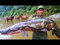 How One Native's "Secret" Method Made Catching 860-Volt Electric Eels SAFE