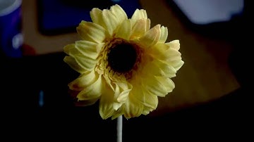 Panasonic GH2 test with bleach bypass