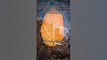قرأن_سورة النمل 💗