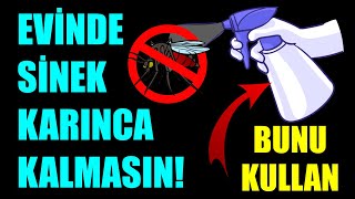 BUNU EVİNDE KULLAN VE SİNEKLER VE KARINCALARDAN KURTUL #şifabul