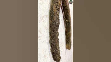 IMPOSSIBLE RESTORATION #restoration #restoring #asmr #old #goodrestore #rust #tools   #diy #antique