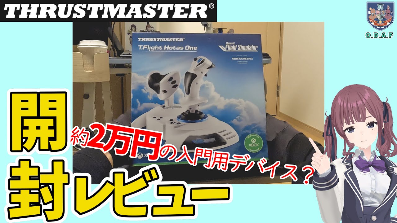 Доступный и сбалансированный! Отзыв пользователя "T.Flight Hotas One" [MSFS 2024/DCS]