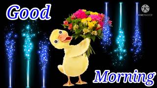 Good Morning Wishes Gif