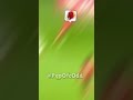 @BarbosaYT_