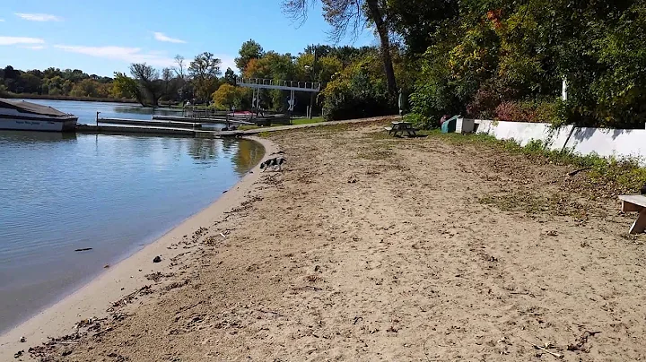 Indy loves to play fetch