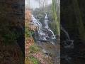 Folly Dolly Falls: A Misty Waterfall With a Forgotten Story #waterfall #falls #misty #uk #shorts