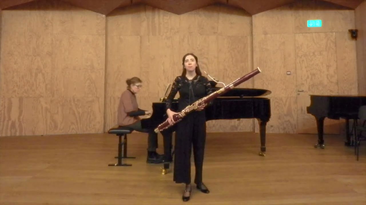 W. A. Mozart, Bassoon Concerto in Bb major: Allegro, Andante ma Adagio