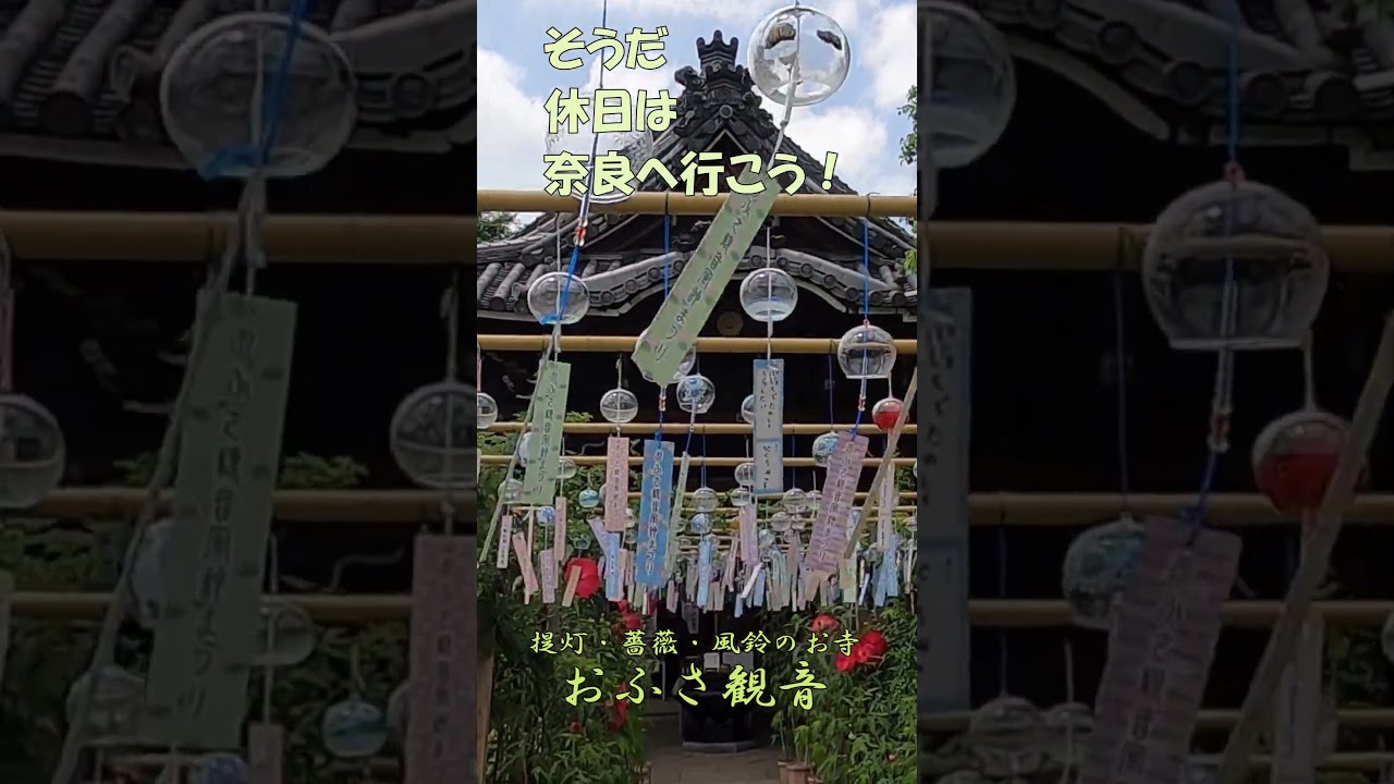 【おふさ観音】#Shorts そうだ休日は奈良へ行こう!風鈴と薔薇と提灯のお寺 橿原市小房町にあるおふさ観音をご案内。詳しくは本編をご覧ください!【奈良観光】