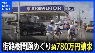 神奈川県が「ビッグモーター」に原状回復費に約780万円請求　街路樹問題めぐり｜TBS NEWS DIG