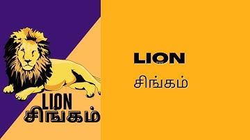 Lion singam channel intro video animation