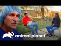 Dr. Jeff Young fala sobre os 30 anos de carreira | Veterinário das Montanhas | Animal Planet Brasil