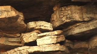 Ular pornoni mushukchaga quyadilar Ular pornoni mushukchaga quyadilar