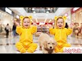 Twin baby play with dog#ai #babytalk #babyspeaking #babyai #babyaitamil #babyjokes #shorts