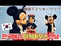 韓国🇰🇷でミッキーグリーティング⁉️ 貴重すぎる動画👀【日韓夫婦/日韓ハーフ】