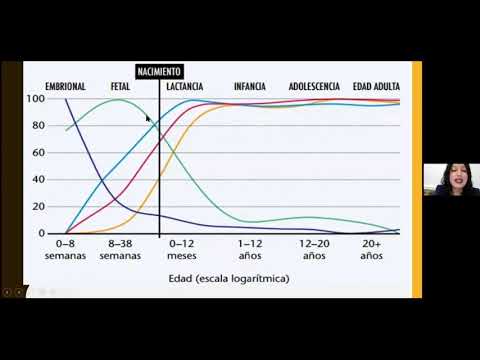 NEURODESARROLLO Y APRENDIZAJE