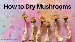 How to Dry Mushrooms