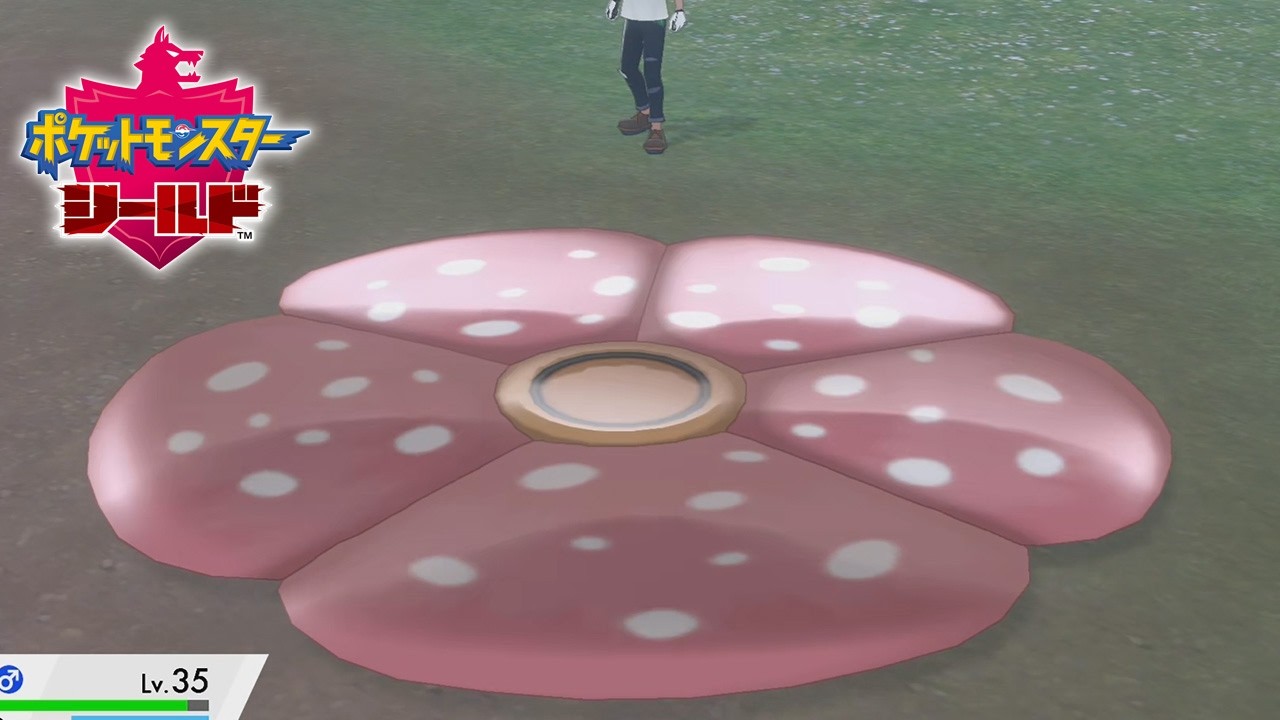 気高いポケモン多すぎ問題【ポケモン剣盾】＃１４