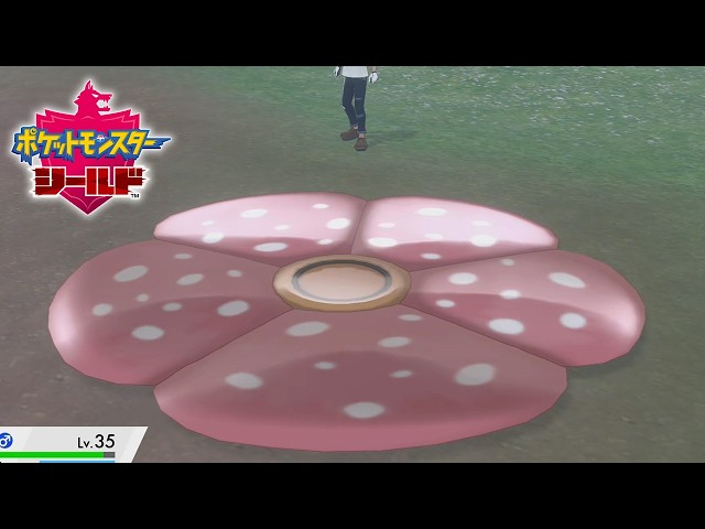 気高いポケモン多すぎ問題【ポケモン剣盾】＃１４