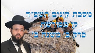 מסכת קינים תשפ"ד קן מפורשת פרק ב' משנה ב'
