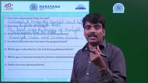 17TH JUL PAN INDIA CLASS IV SCIENCE ASSIGNMENT 6 KEY