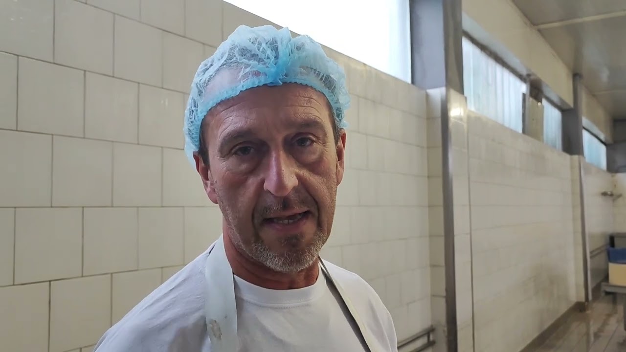 Caseificio del Gorgonzola dolce a Vaprio D'Agogna. Vagadore, come si fà 