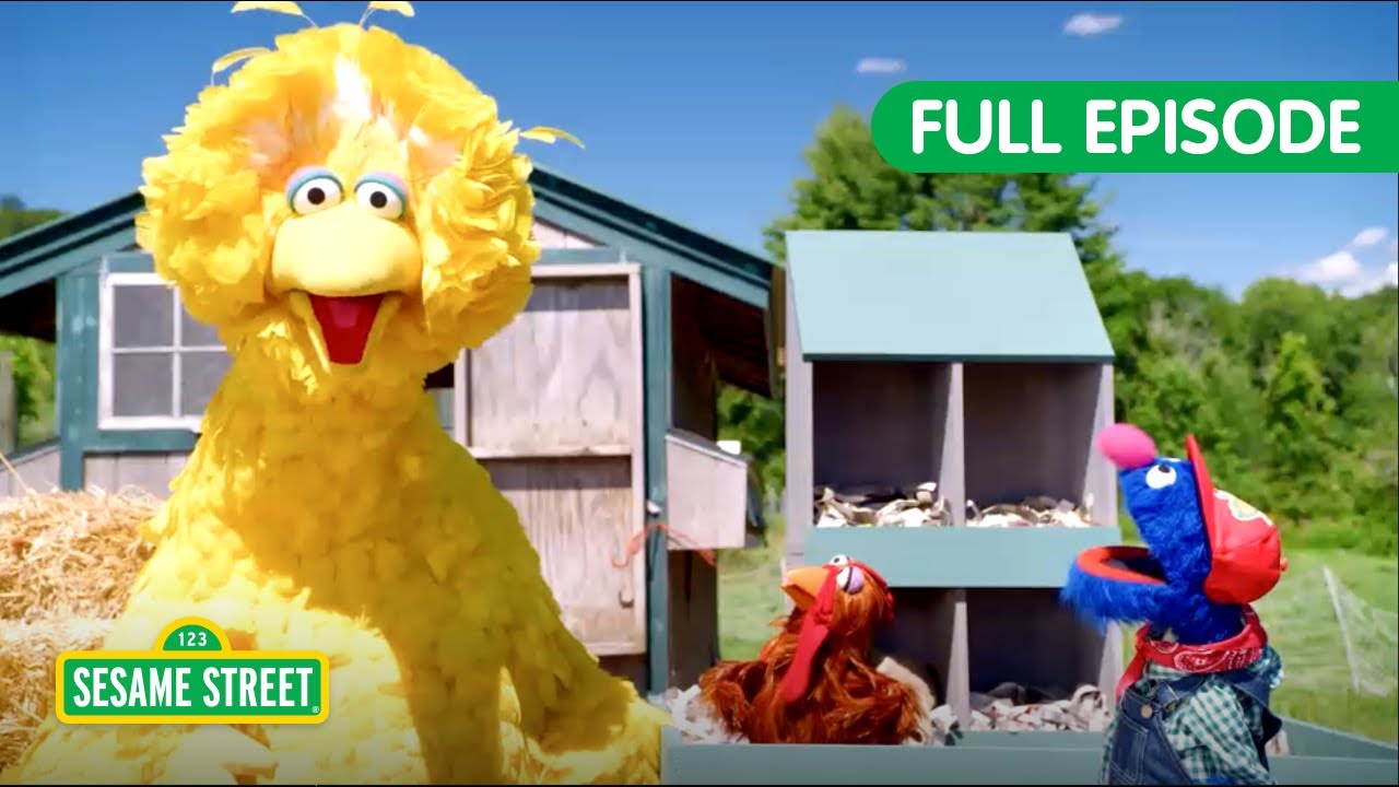 Let's Learn about Chickens and Geckos! | TWO Sesame Street Full Episodes