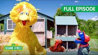 let s learn chickens geckos two sesame street full episodes
