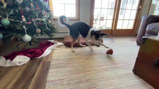 Lucy And Her Fart Toy