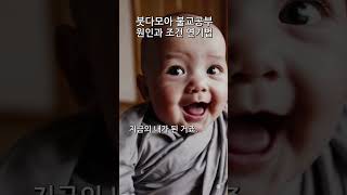 연기법 모든 건 인연 따라 옵니다