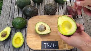 Thille avocado: a profile