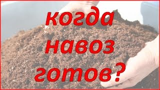 Когда и какой навоз (перегной) можно завозить на огород?