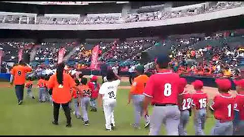 Forjando Campeones