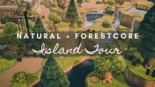 NATURAL FORESTCORE ISLAND TOUR | Animal Crossing New Horizons