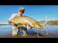 FISHING Stillwater Lake for BIG BROWN TROUT [Fly Fishing]