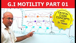 G I Motility | Gastrointestinal | Part 1