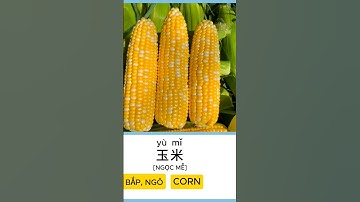 Học từ vựng tiếng Trung về rau củ quả/ Learn Chinese Vegetables #tuhoctiengrung #learnchinese