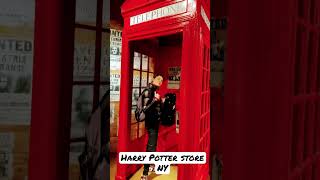 Herry Potter store - New York