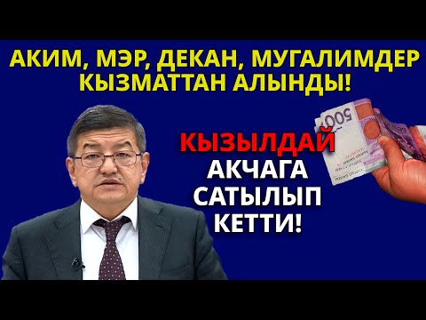 Video: ЖК мониторду кантип тандоо керек