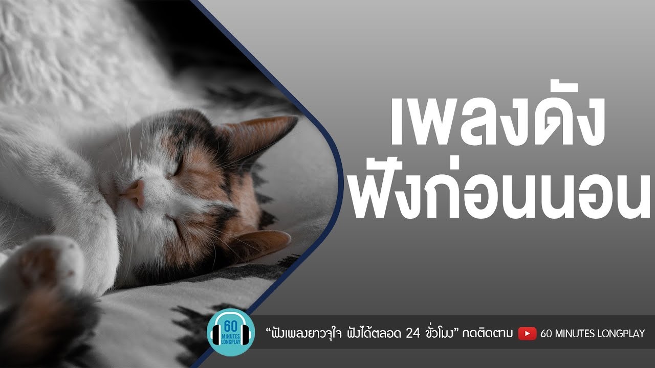เพลงดังฟังก่อนนอน [ อะตอม ชนกันต์,Palmy,Getsunova,ดา เอ็นโดรฟิน ]