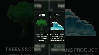 Fun Facts Oceans Produce More Oxygen Than All The Tree