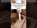 I know I'm not the only one.#cartok #caraccessories #cleaning