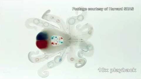 Meet the octobot  A first for soft robotics   BBC News