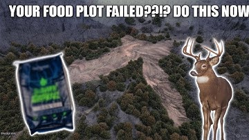 YOUR FOOD PLOT FAILED!! DO THIS NOW!!