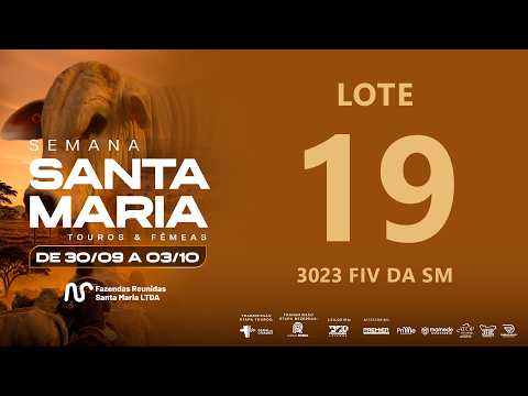 LOTE 19 FSM A3023