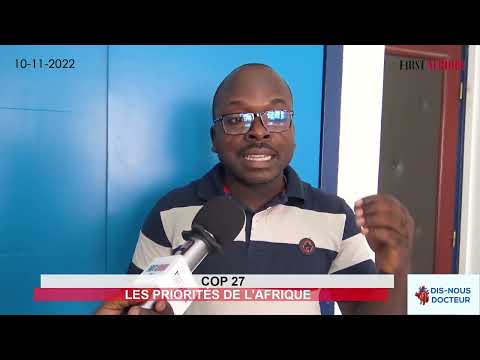COP 27 : LES PRIORITÉS DE L'AFRIQUE