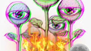 COUNT FOR SOMETHING -Codyne Thornton™ ( Produced by TAR_XAN™)