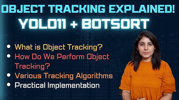 YOLO11 Object Tracking | People Tracking Using Byte Track and Bot SORT