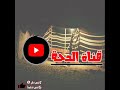 دحيه عويض وشيوش الجديدة 