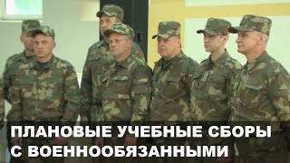Плановые учебные сборы с военнообязанными проходят на Могилевщине