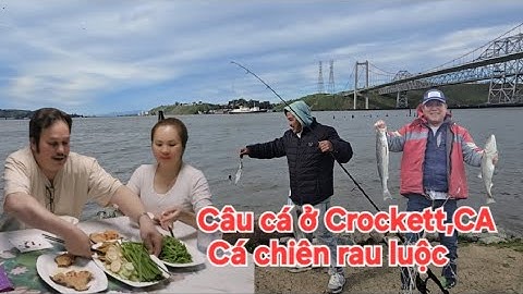 Bữa cơm đạm bạc cá chiên rau luộc.  Câu cá ở Crockett,CA cho đến  tối  mới về nha.